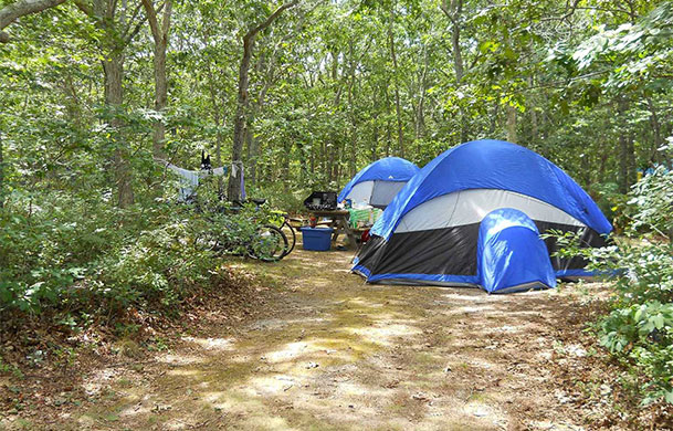 Primitive tent site at Adventure Bound Cape May