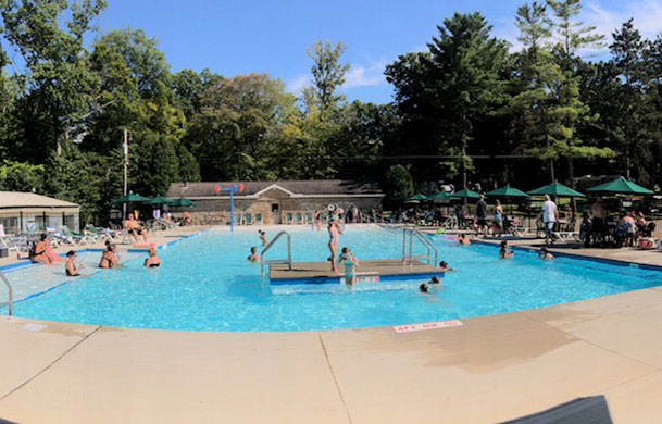 Fun for the Whole Family